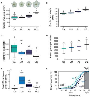 Variation in Manduca sexta Pollination-Related Floral Traits and Reproduction in a Wild Tobacco Plant